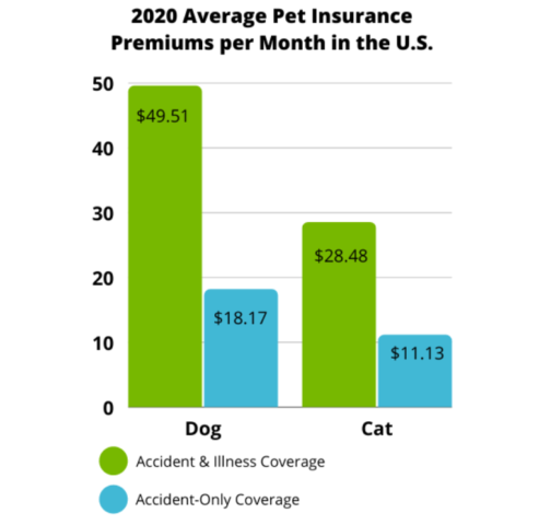 ¿Es caro el seguro de mascotas ¿Vale la pena